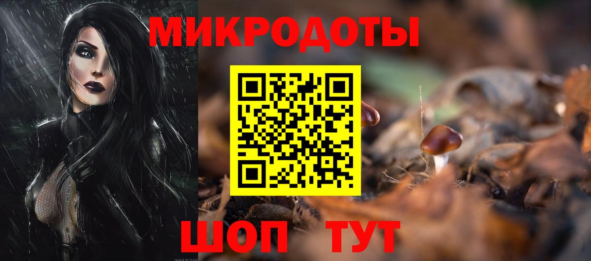 Галлюциногенные грибы прущие грибы  Вход с VPN  Кировск  Псилоцибиновые грибы Psilocybine cubensis 